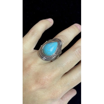 Saguaro Scene Blue Ring